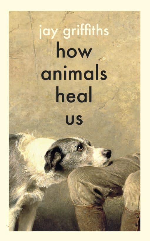 How Animals Heal Us