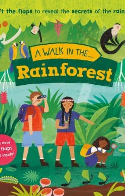 A Walk in the Rainforest