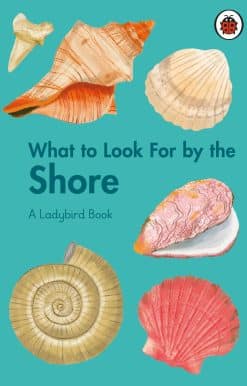 What to Look For by the Shore