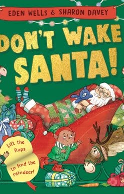 Don't Wake Santa: A lift-the-flap Christmas book