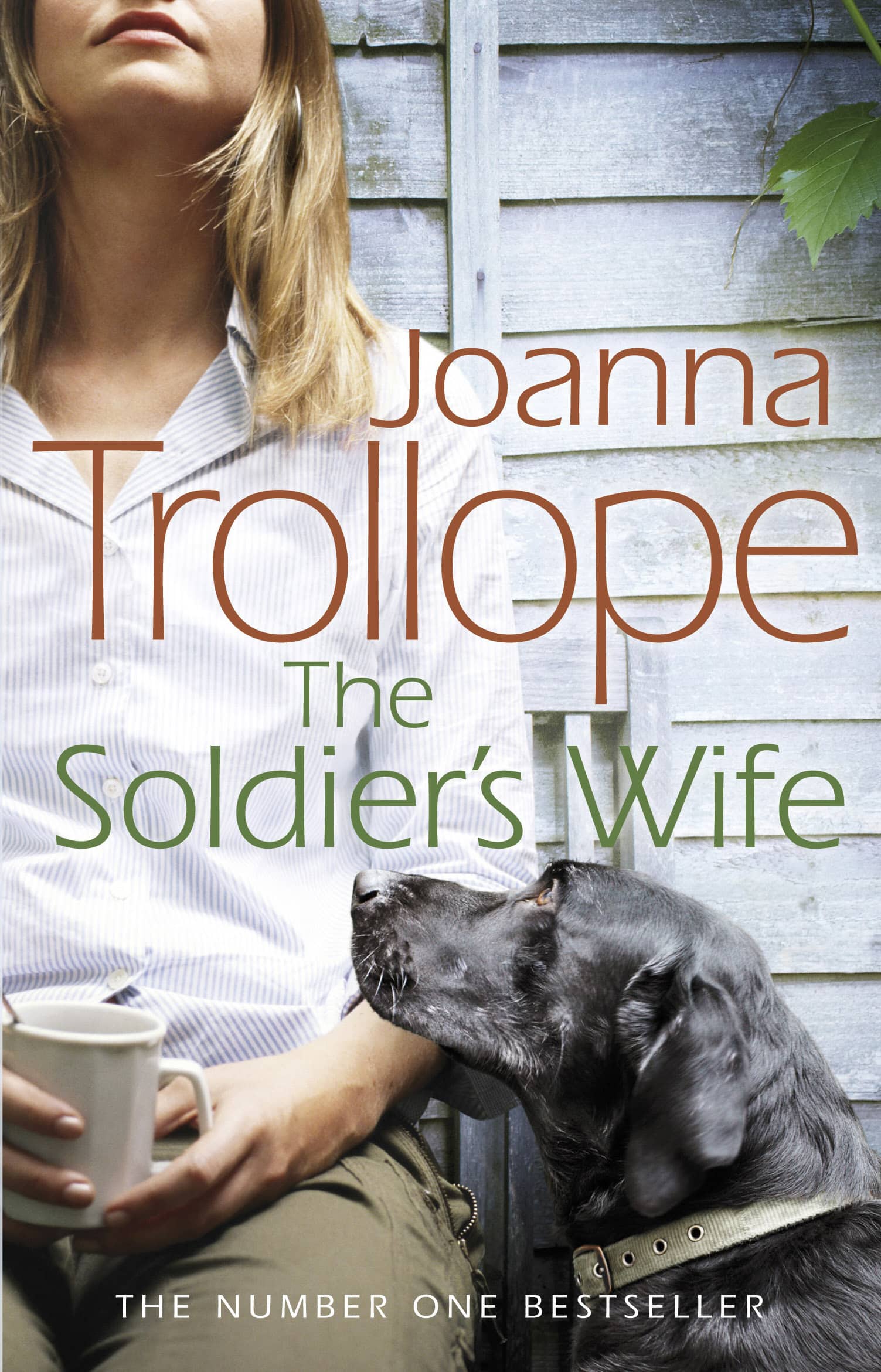 LEAD Technologies Inc. V1.01 The Soldier's Wife: the captivating and heart-wrenching story of a marriage put to the test from one of Britain’s best loved authors, Joanna Trollope