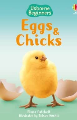 Eggs and Chicks