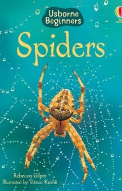 Spiders