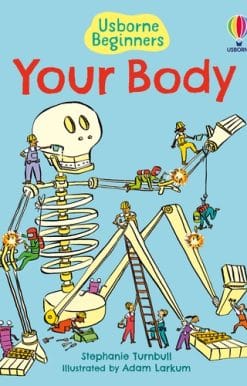 Your Body