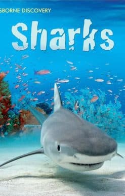 Discovery Sharks
