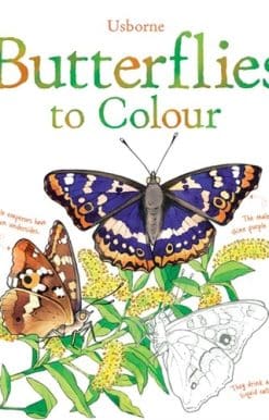 Butterflies to Colour