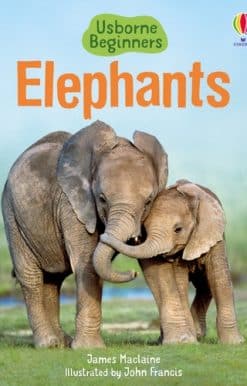 Elephants