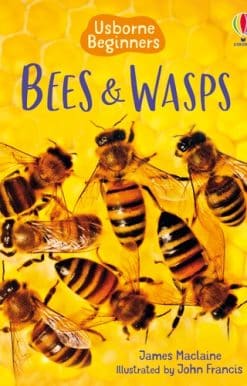 Bees and Wasps