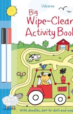 Big Wipe Clean Activity Book