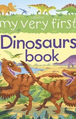 My Very First Dinosaurs Book