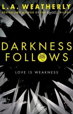 Darkness Follows