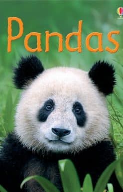 Pandas