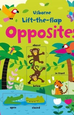 Lift-the-flap Opposites