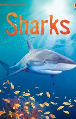 Sharks