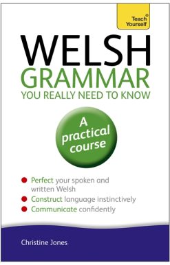 Welsh Grammar You Really Need to Know: Teach Yourself