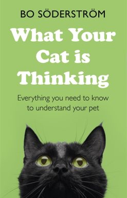 What Your Cat Is Thinking: Everything you need to know to understand your pet