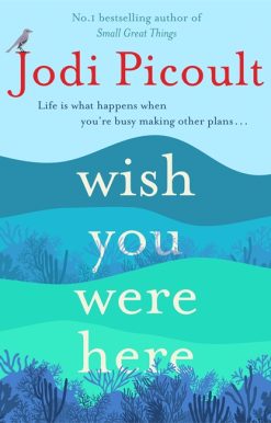 Wish You Were Here: a completely gripping, unputdownable novel from bestselling author of Mad Honey