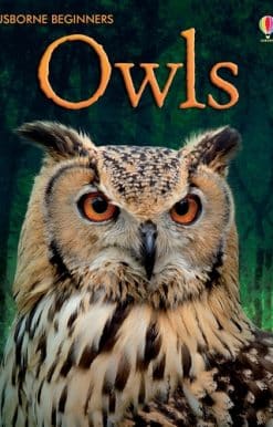 Owls