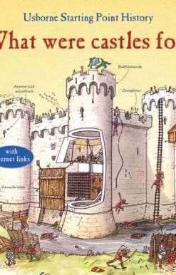 What Were Castles For?