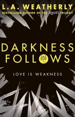 Darkness Follows