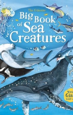 Big Book of Sea Creatures