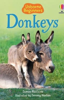 Donkeys