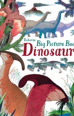 Big Picture Book Dinosaurs