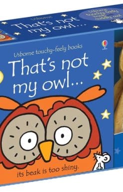 That's not my owl... book and toy