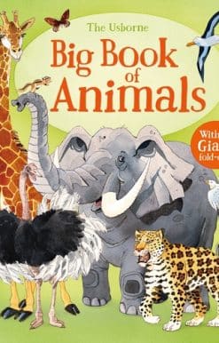Big Book of Animals