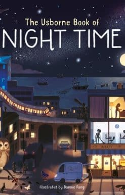 Usborne Book of Night Time
