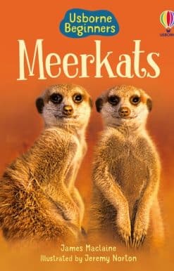 Meerkats