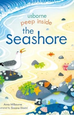 Peep Inside the Seashore