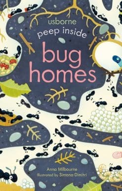 Peep Inside Bug Homes