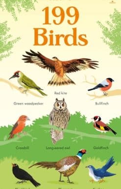199 Birds