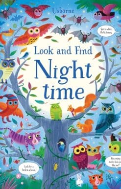 Look and Find Night Time