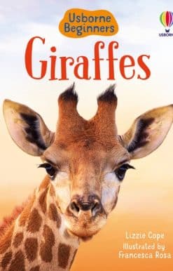 Giraffes