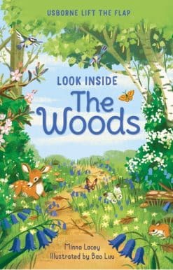 Look Inside the Woods