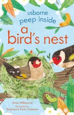 Peep Inside a Bird's Nest