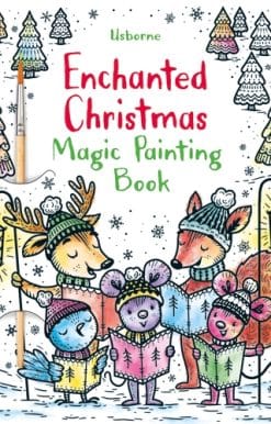 Enchanted Christmas Magic Painting Book