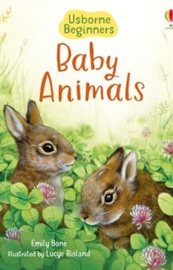 Baby Animals