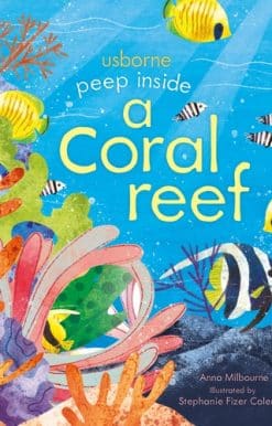 Peep inside a Coral Reef
