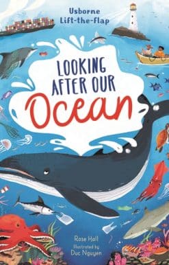 Lift-the-Flap Looking After Our Ocean