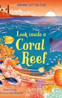 Look inside a Coral Reef
