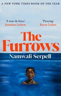 The Furrows: From the Prize-winning author of The Old Drift