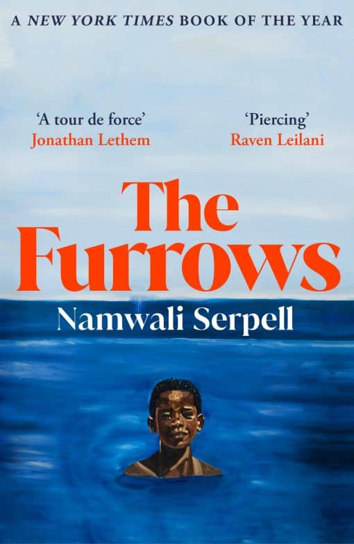 The Furrows: From the Prize-winning author of The Old Drift