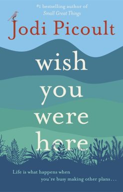 Wish You Were Here: a completely gripping, unputdownable novel from bestselling author of Mad Honey