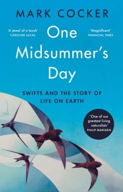 One Midsummer's Day: Swifts and the Story of Life on Earth