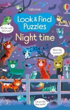 Look and Find Puzzles Night time