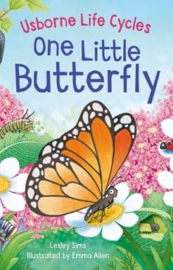 One Little Butterfly