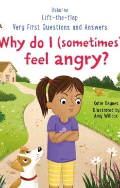 Very First Questions and Answers: Why do I (sometimes) feel angry?